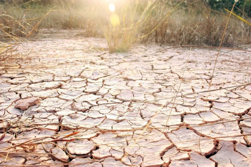 Un studiu inedit a descoperit cum poate fi învinsă indiferența oamenilor față de schimbările climatice
